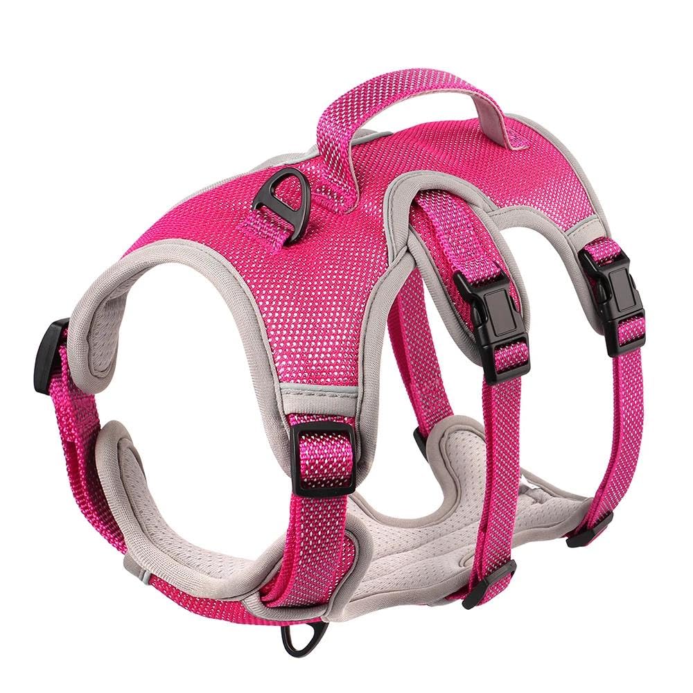 Con Maniglia Di Controllo Pettorina Per Cani Riflettente Per Esterni Pettorina Per Animali Domestici In Nylon Traspirante Gilet Per Cani Da Camminata Addestramento Da Caccia Da Campeggio Per Cani