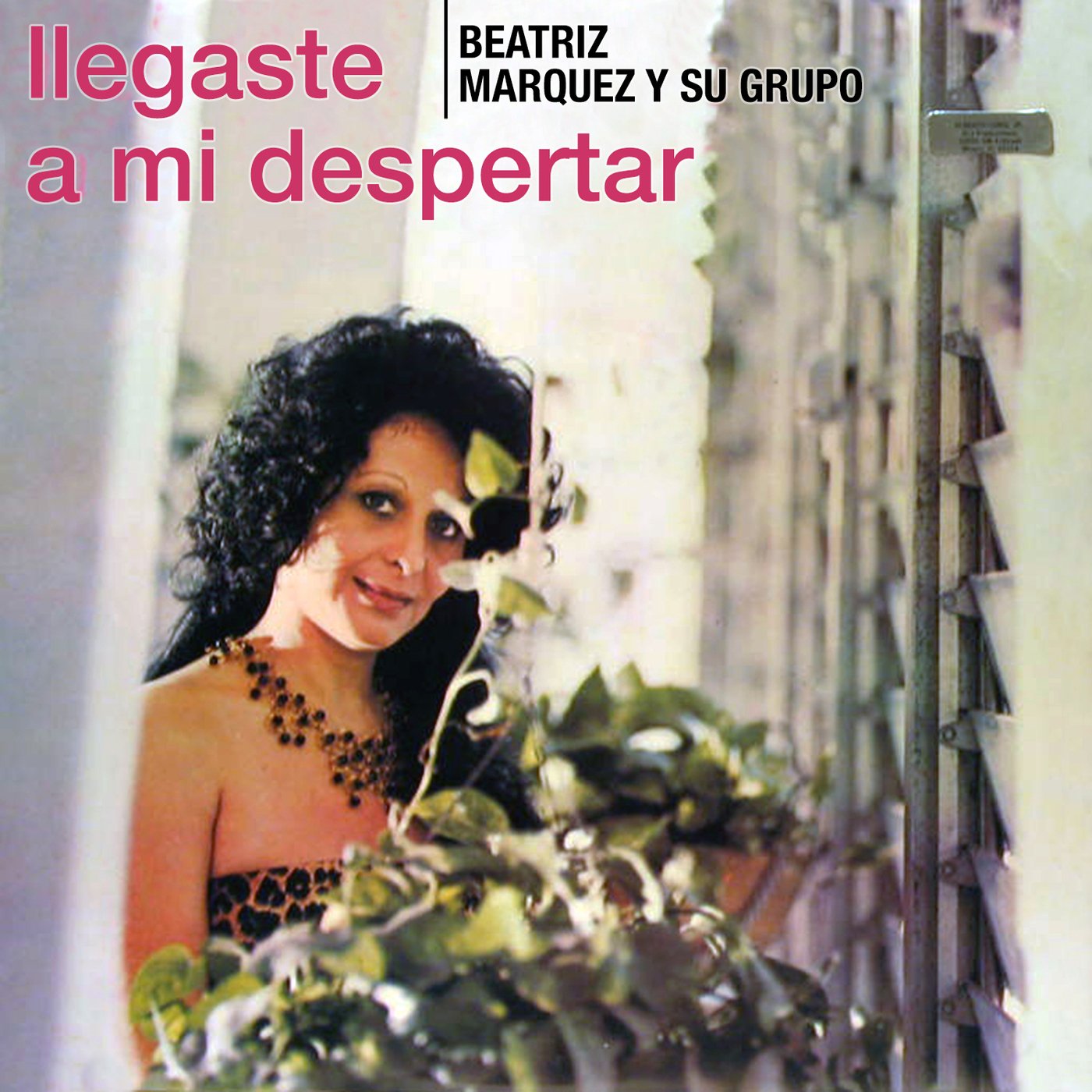 Beatriz Márquez Y Su Grupo