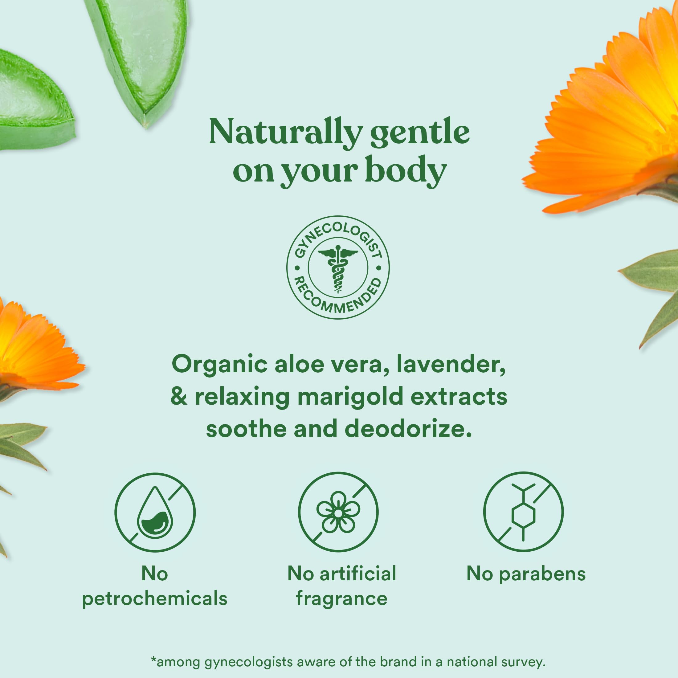 Good Clean Love Balance Feminine Wash, pH-Balanced Vaginal Moisturizer Cleanser for Women with Natural Ingredients, Gentle Cleansing Feminine Care Product, Reduces Vaginal Dryness & Odor, 8Oz (2-Pack)