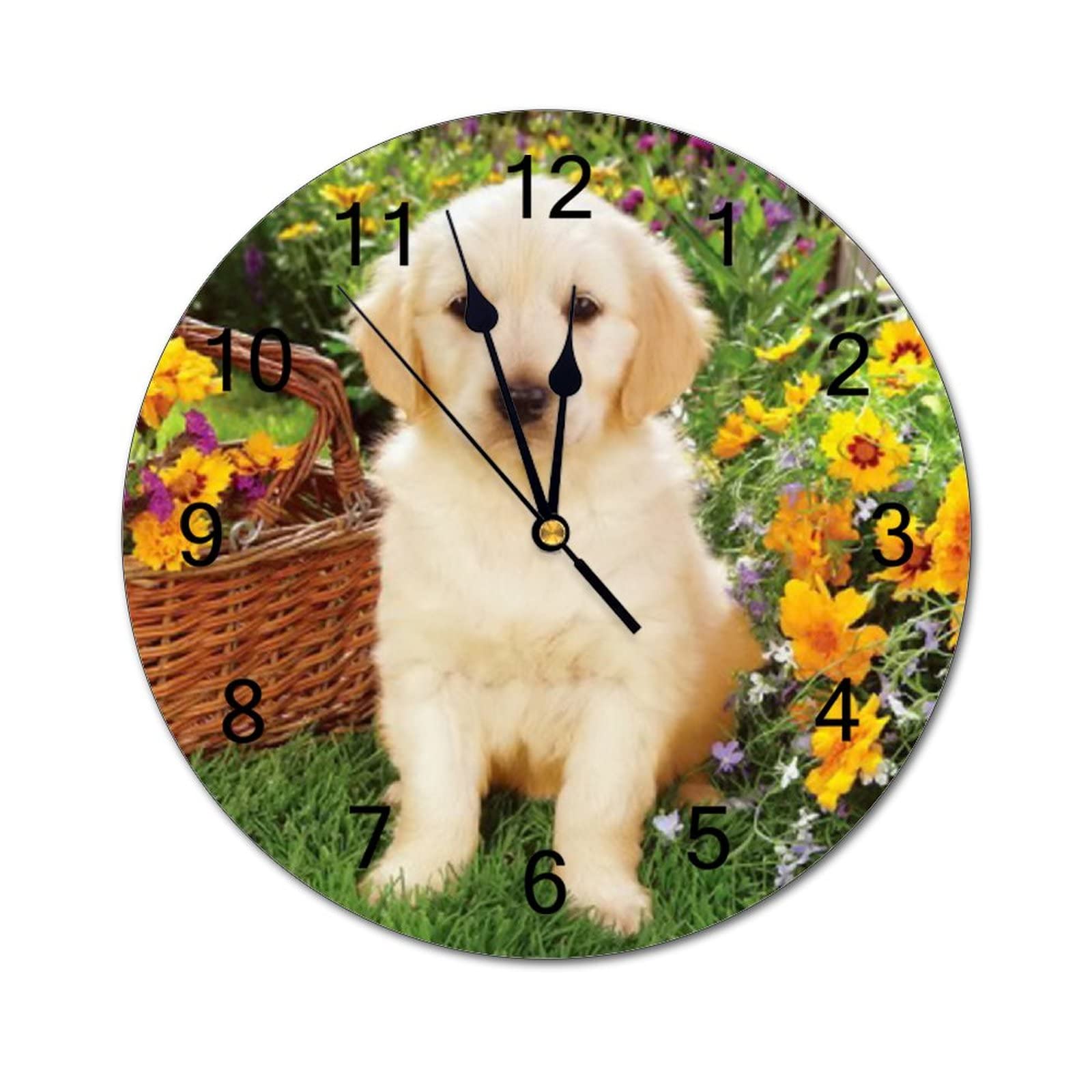Orologio Da Parete Animali | Confronta prezzi