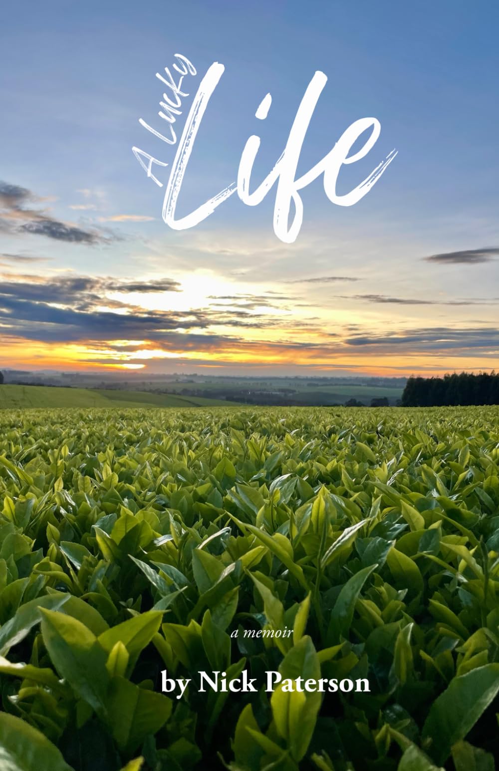 A Lucky Life: A Tea Planter in Kenya