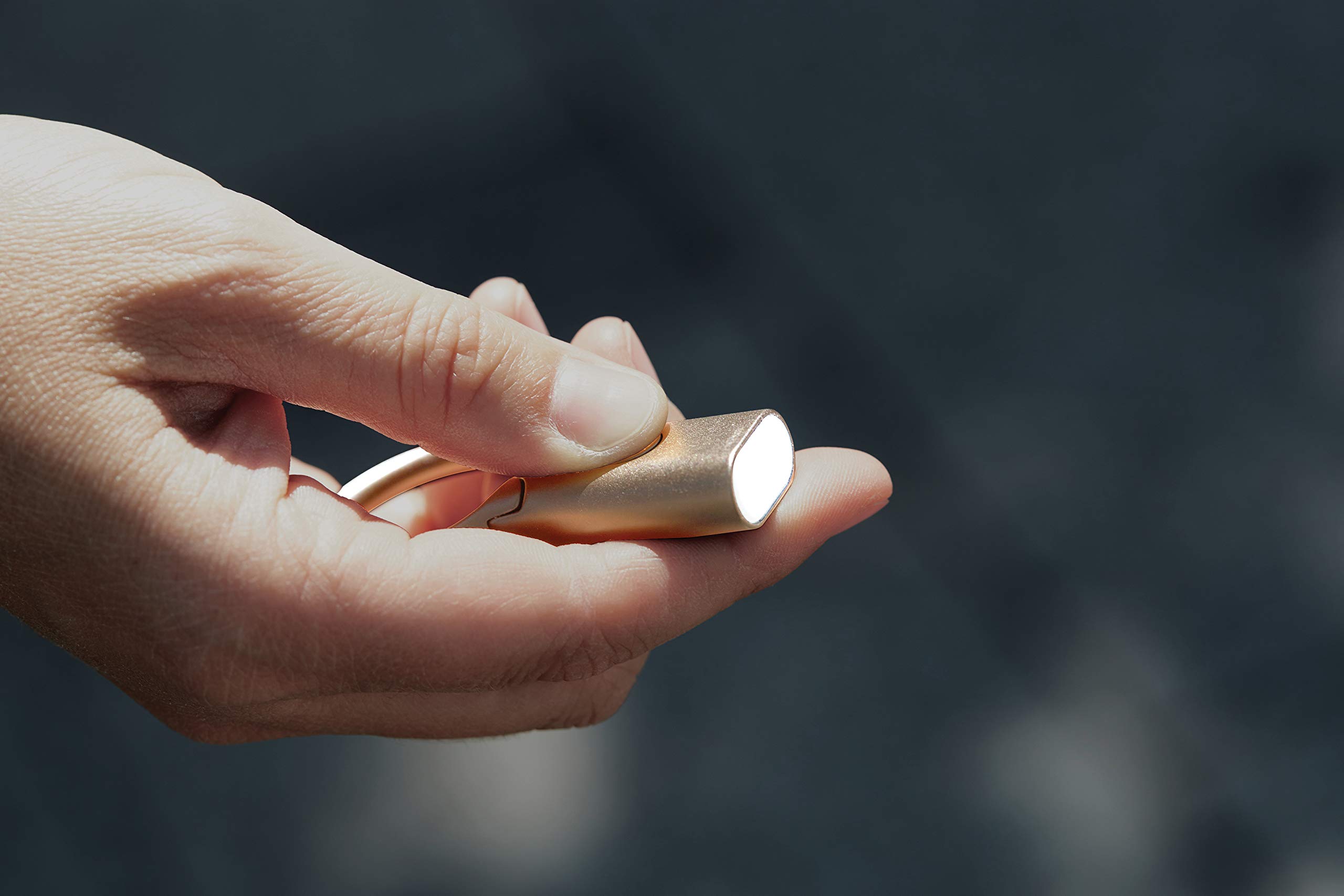 Lexon - NOMADAY LIGHT Mini linterna LED llavero con gancho (Oro)