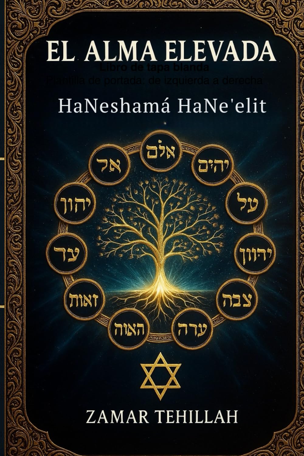 EL ALMA ELEVADA: TEHILLIM Y MEDITACION PARA CONECTAR CON HASHEM