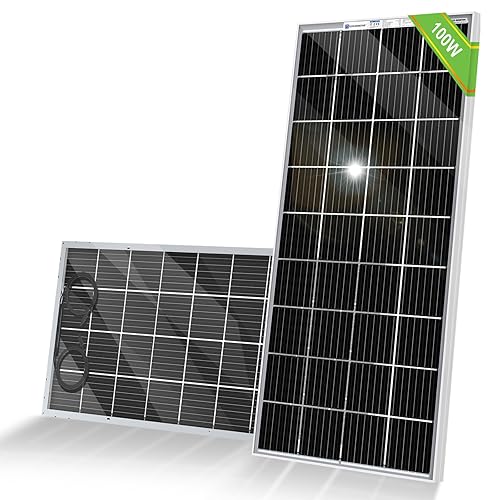 ECO-WORTHY Bifacial - Cargador de energía para módulo fotovoltaico rígido monocristalino de alta eficiencia de 100 vatios y 12 voltios para