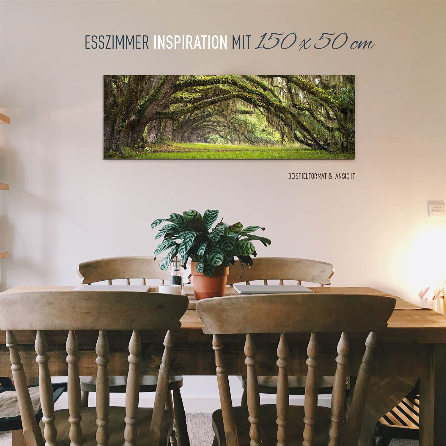 BilderKing Wandbild Baumallee Alte Eichen - 180cm x 120cm Alu-Dibond 3mm weiß + Rückrahmen