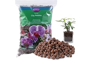 Natural Organic Clay Pebbles for Indoor Pot Drainage