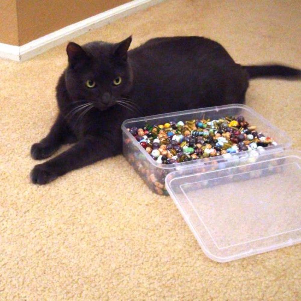 Beadaholique EC-4975 Mr. Kitty's Big Bead Bonanza Beads Mix, 1/2-Pound