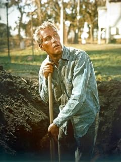 ART.COM Wall Photo Cool Hand Luke, Paul Newman, 1967, 12" x 16"