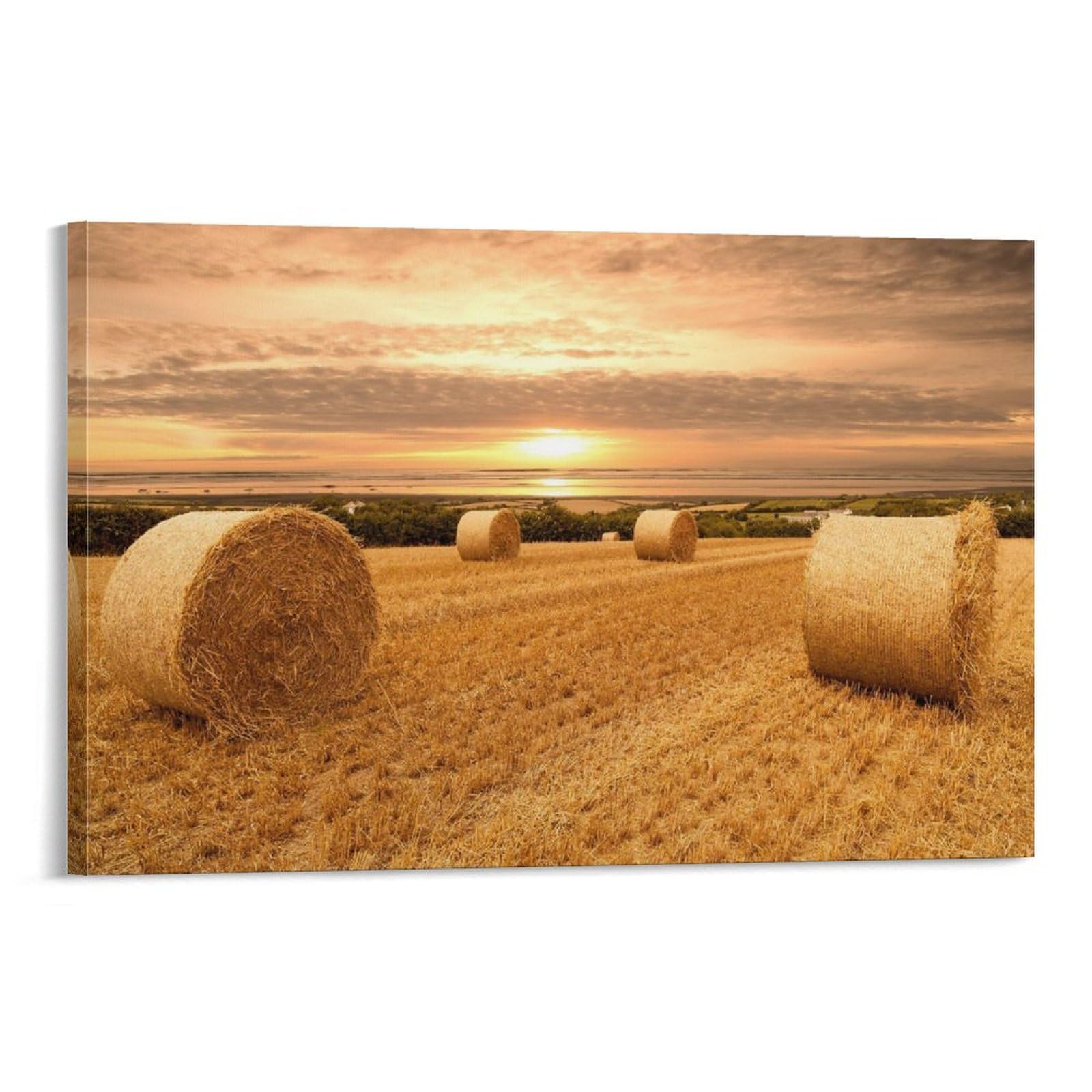 Arte De Pared De Campo De Trigo Dorado Atardecer Rústico Lienzo Paisaje  Campo Trigo Atardecer - Arte Pared 14x48 Pulgadas | Decoración Rústica  Granja Arte Pared Paisaje Rústico, image size:1600x1600