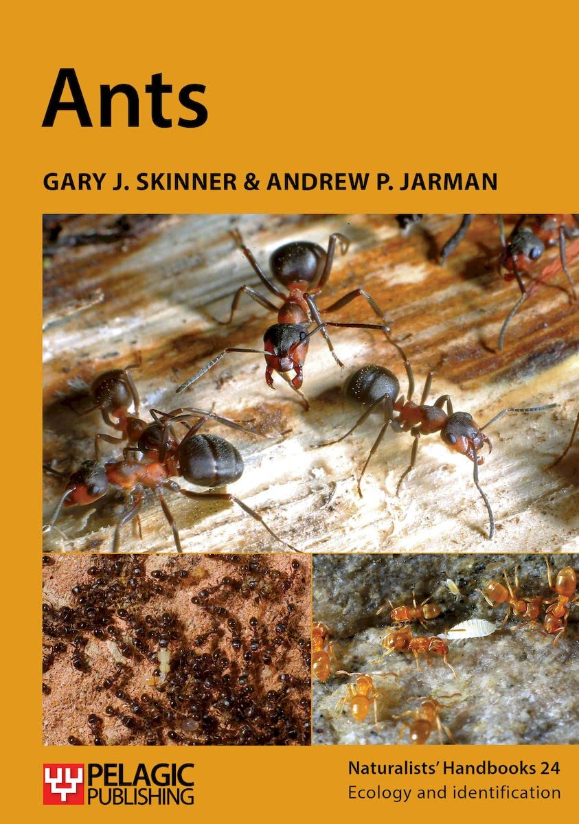 Ants (Naturalists' Handbooks 24)