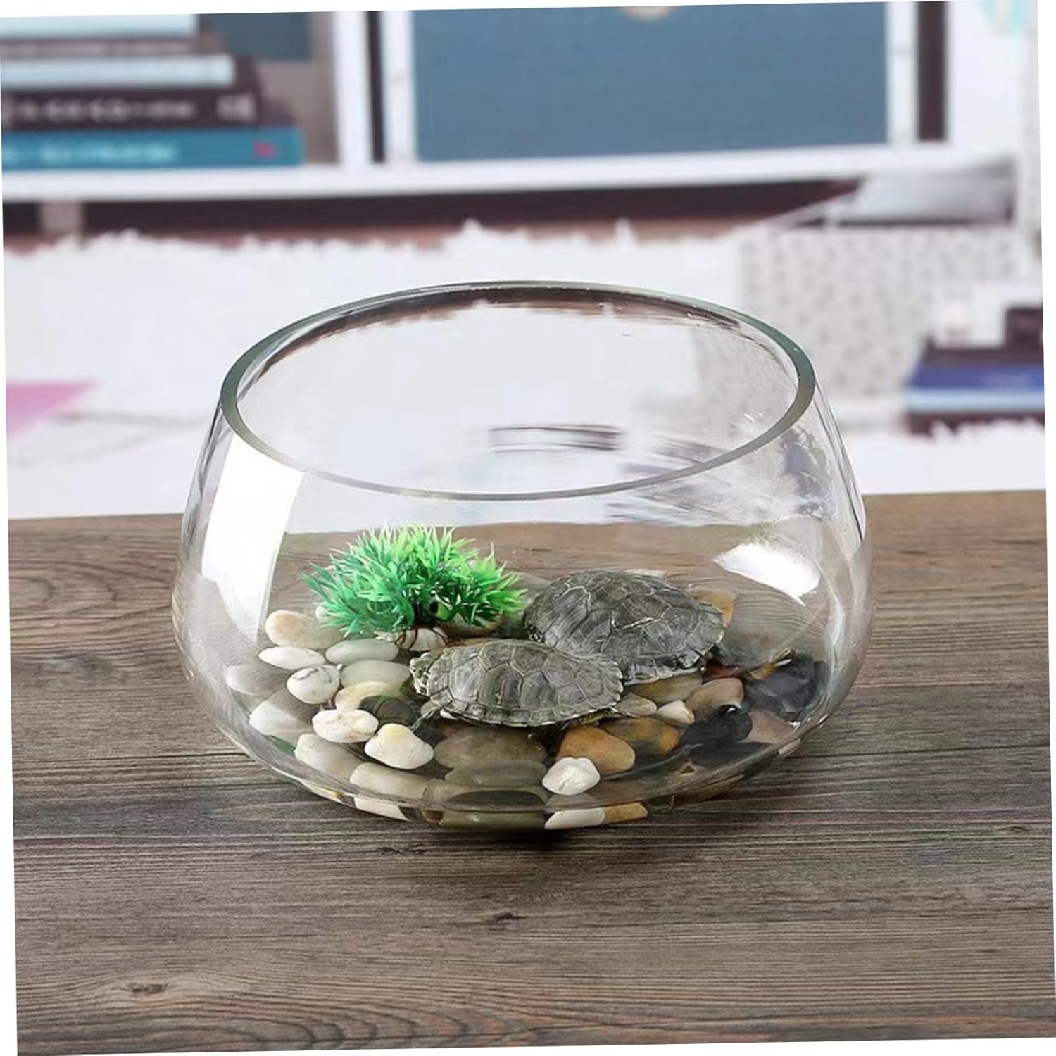 STOBAZA Transparent Glass Turtle Tank Thickened Round Aquarium for Hydroponic Plants Decorative Bowl for Small Ornamental Fish Capacity