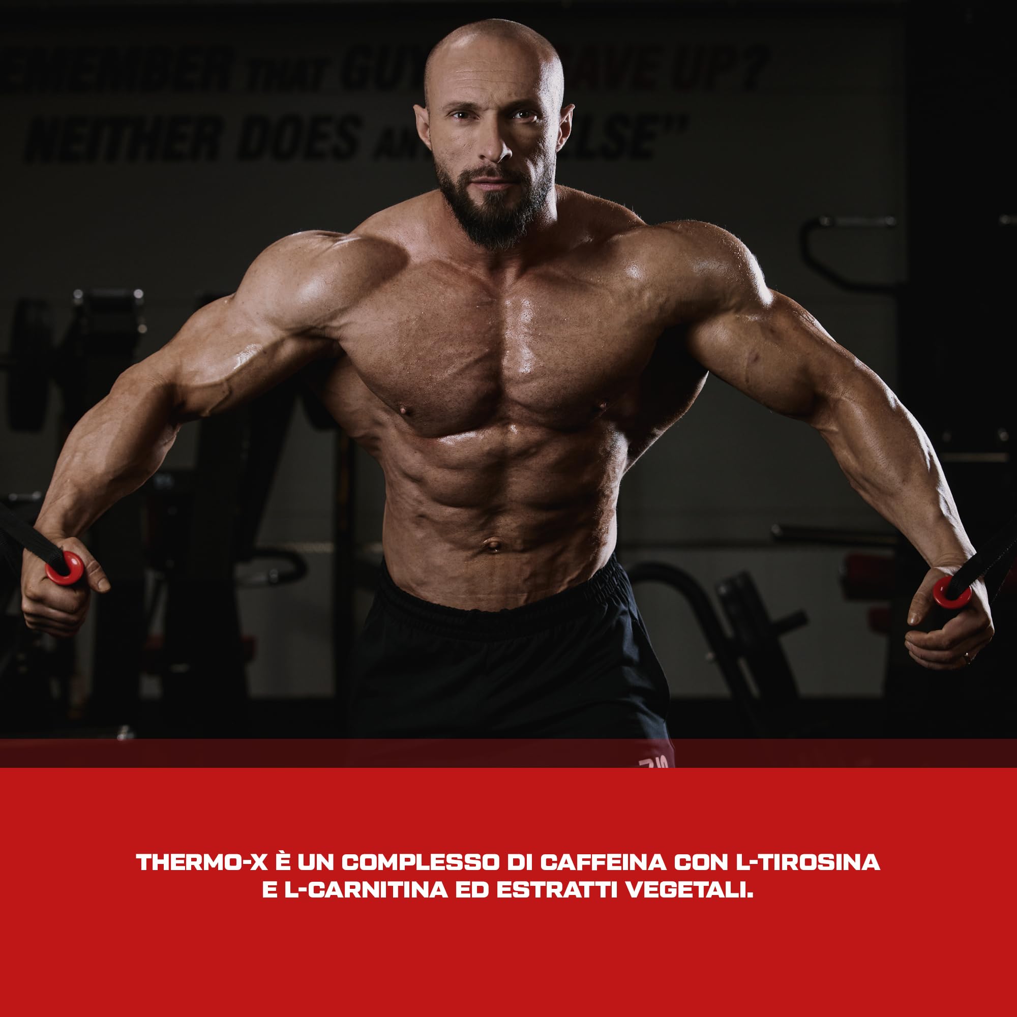 Scitec Nutrition Thermo-X, con L-Tirosina, L-Carnitina, HCA, Caffeina e Forskolina, 100 Capsule