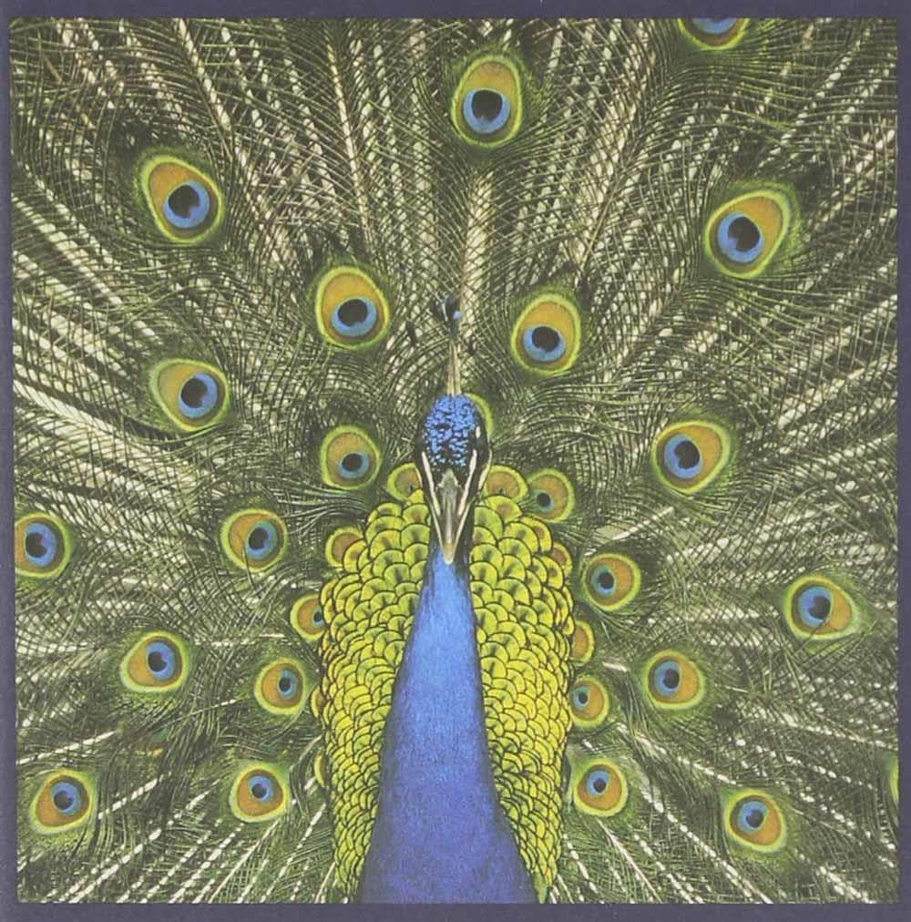 The Bluetones: Expecting to Fly CD Album ***NEW***