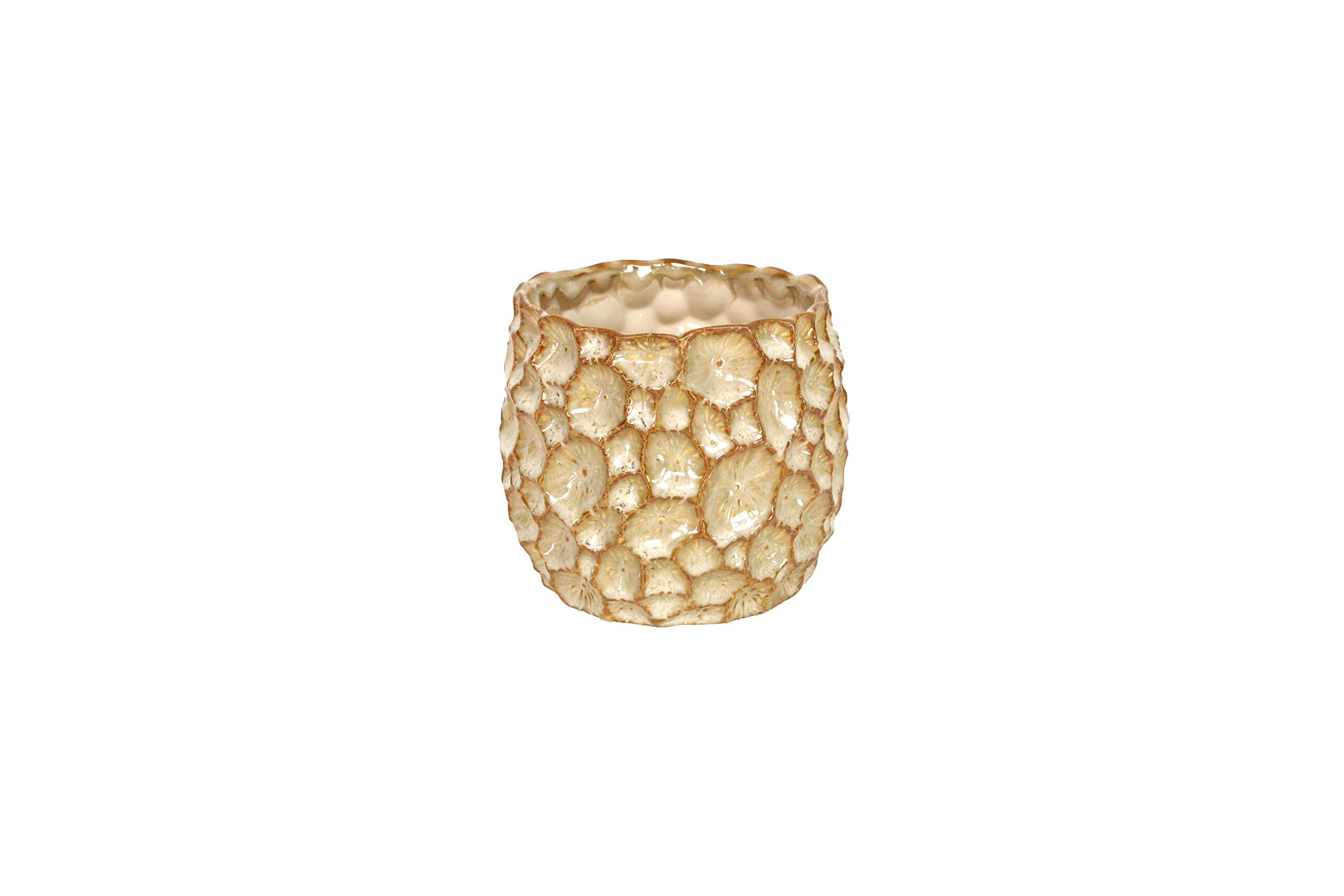 Gisela Graham Green Ceramic Crater Pot Cover, Small, Natural