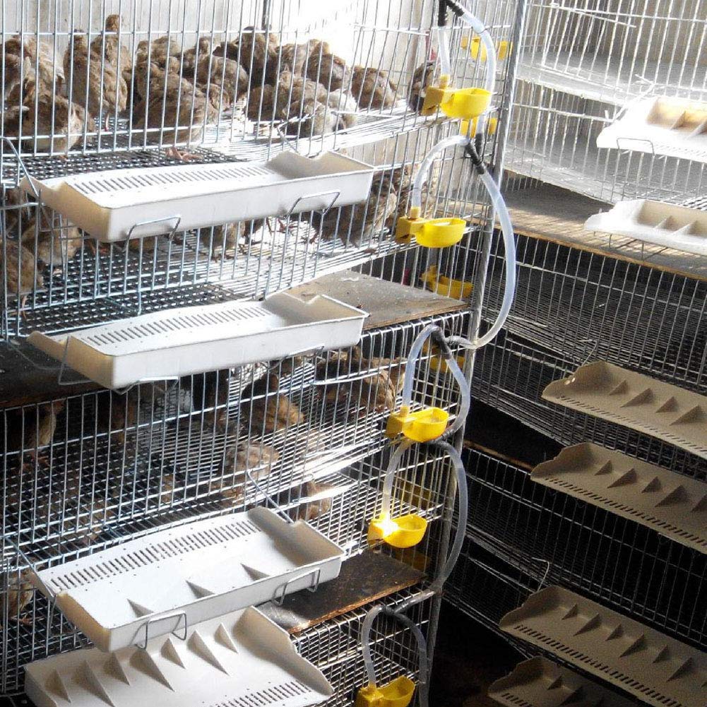 12 Piezas de Bebedero de Codorniz, Amarillo Pp Palomas Codornices Bebedero Alimentador Automático de Agua para Beber Taza Cuenco para Aves de Corral Sistema de Riego de Aves Herramientas Agrícolas