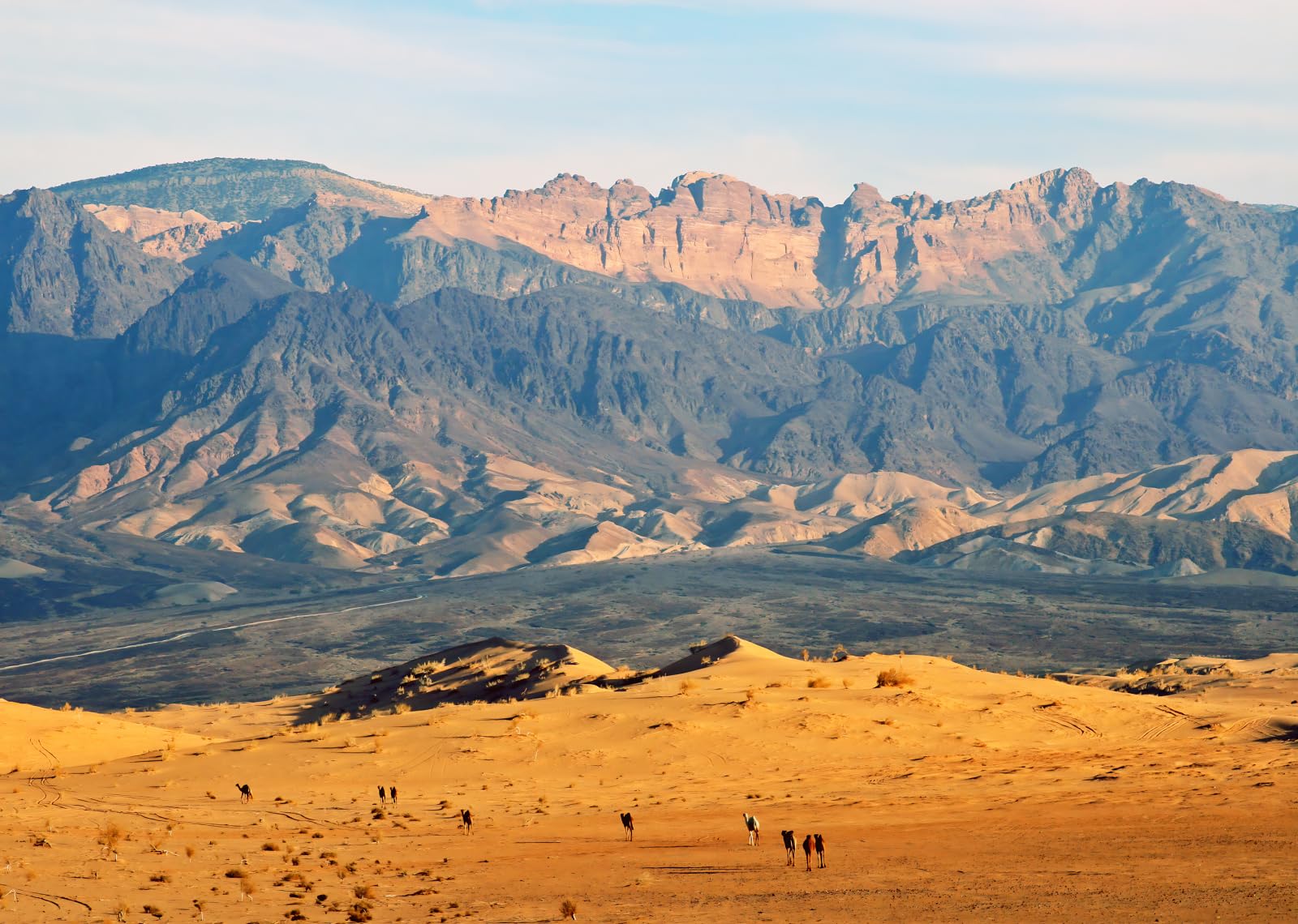 4.5x3m Fondo de Paisaje desértico de montaña, Salvaje Oeste, Naturaleza al Aire Libre, Fondo, Aventura, Tour, Estudio fotográfico, Retrato, Accesorios para sesión de Fotos