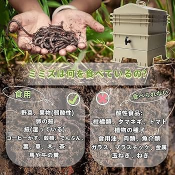 Amazon.co.jp: コンポスト ミミズの養殖 コンポスター 家庭用
