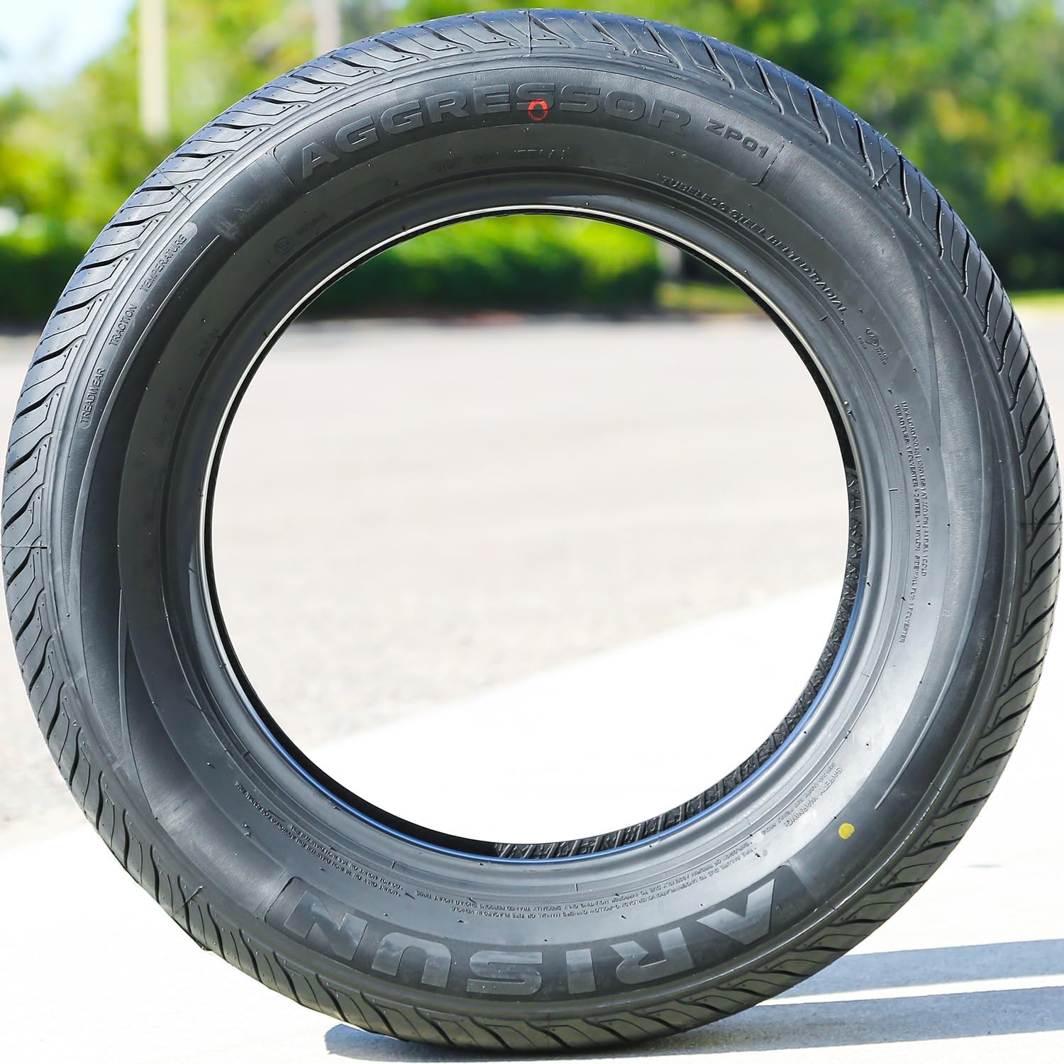 Maximize Your Ride: Arisun Aggressor ZP01 All-Season Tire Review