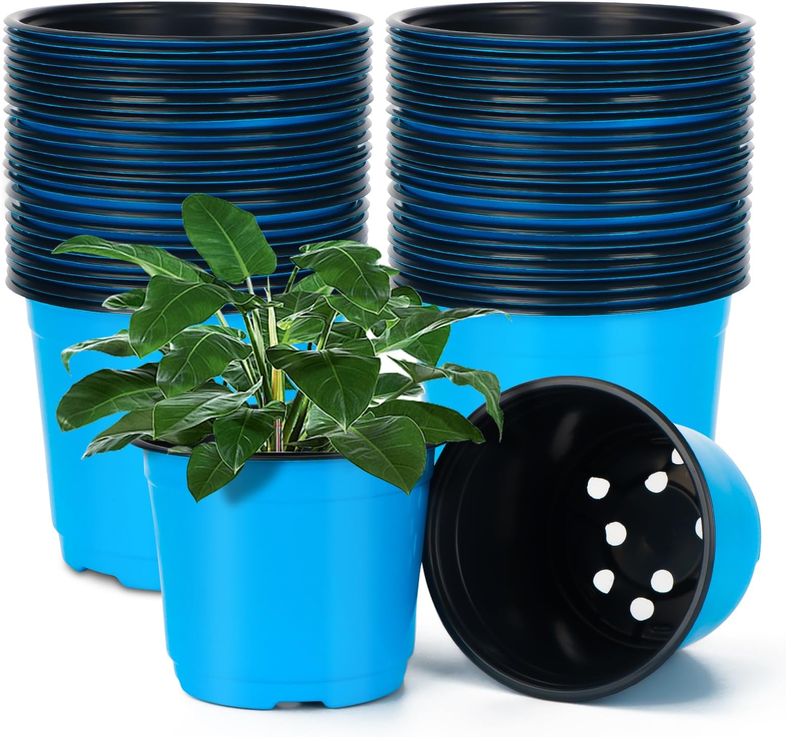 TAQIXI 100 Packs Nursery Pots, 4 5 6 Inches Plastic Nursey