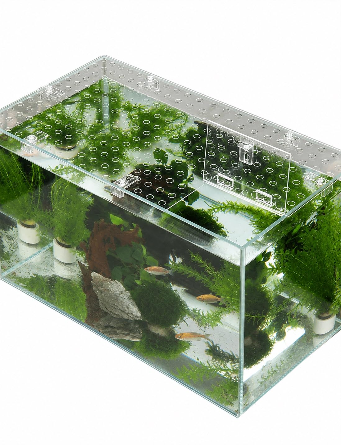 Amazon.co.jp: クリア水槽蓋 1mmポリカーボネートカバー 給餌口カット