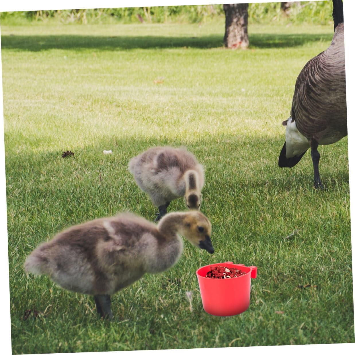 VICASKY 20pcs Small Plastic Bird Feeder Cups Hanging Seed Bowls Pet Feeding Watering Supplies for Parrots Chickens Cage Use