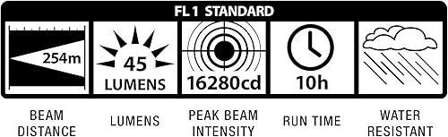 Miniatura 10 de MagliteLinterna resistente 2-células D incandescente en caja expositora