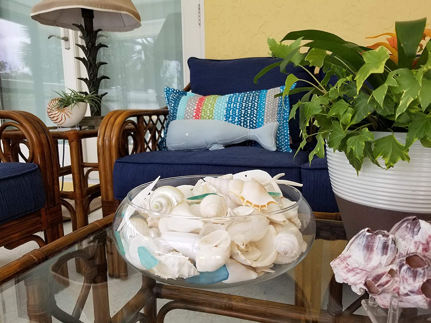 Tumbler Home Seashells Mix of Whites & Shells in Whites, Tans & Pinks, Perfect for Crafts, Decor, Weddings & Vase Filler - Image 6