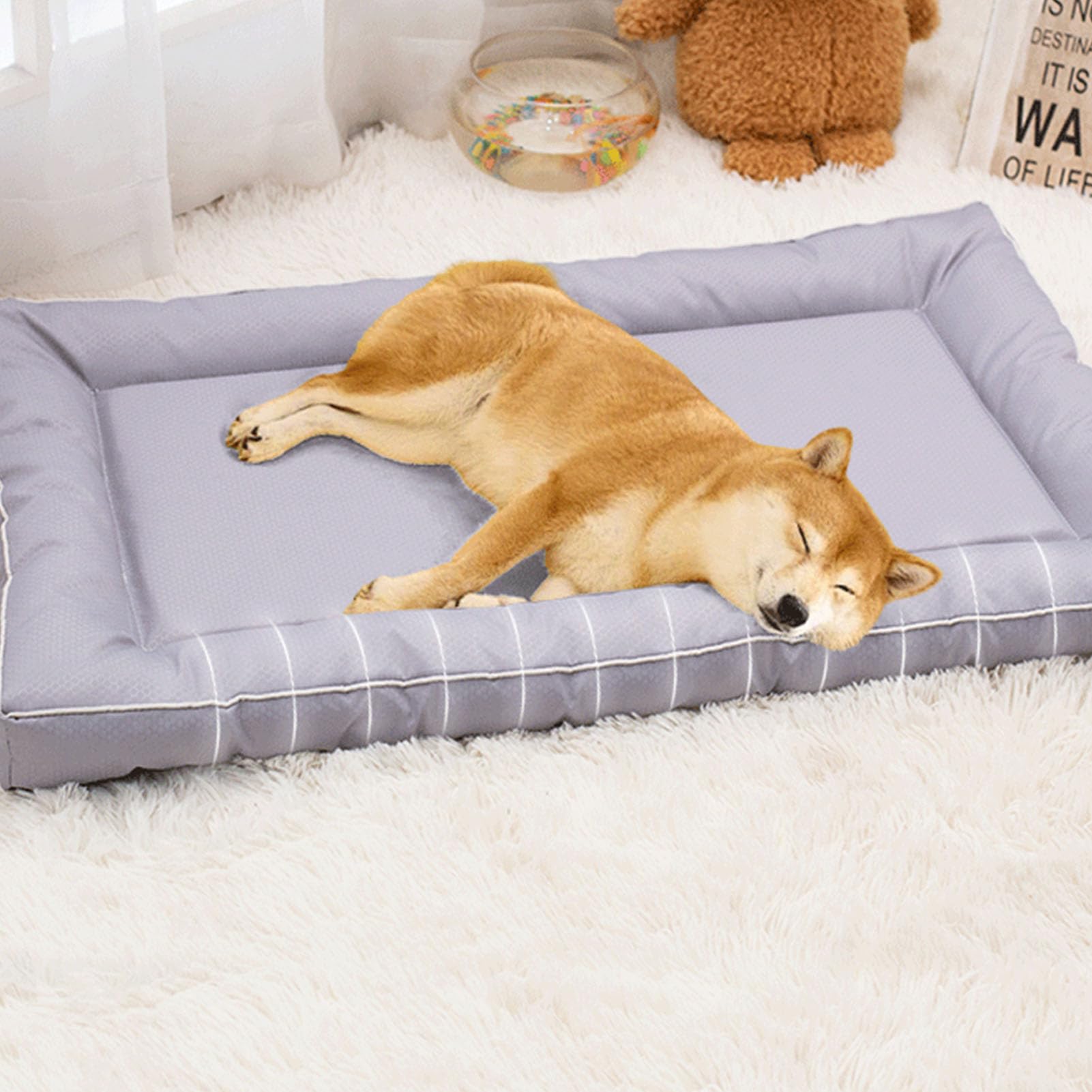 Coussin Imperméabilisant pour Cage de Lit pour Chien pour Un Repos Confortable pour Animaux de Compagnie, Tapis de Chenil Antidérapant pour Cage à Chien, Tapis pour Lavable en Machine pour