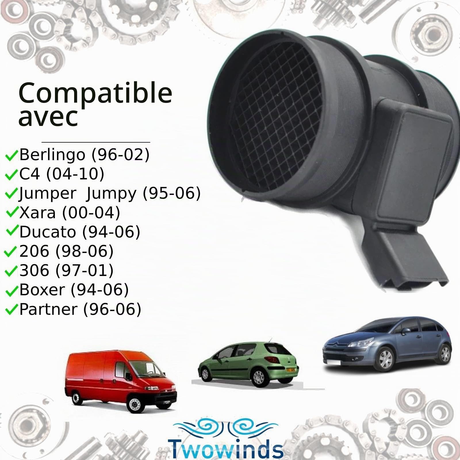 Twowinds Débitmètre d'air 5wk9623 Compatible avec Citroën Berlingo (96-02)