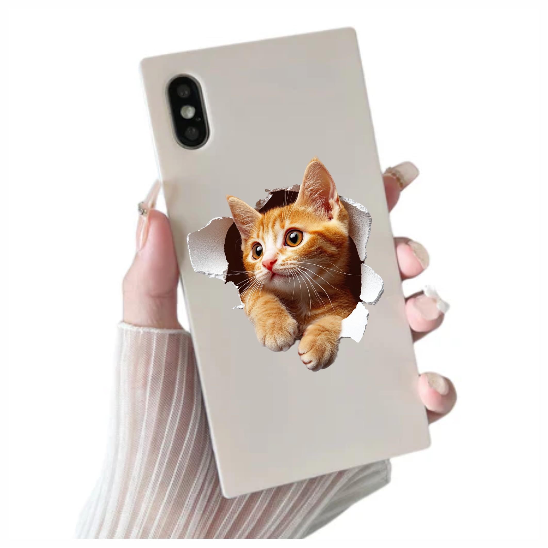 x4 Ginger Kitten Vinyl Stickers Cover Marks Non Transparent Waterproof Decals 1@20cm Tall & 3@7cm Tall Ideal for Toilet Car Phone case - Image 3