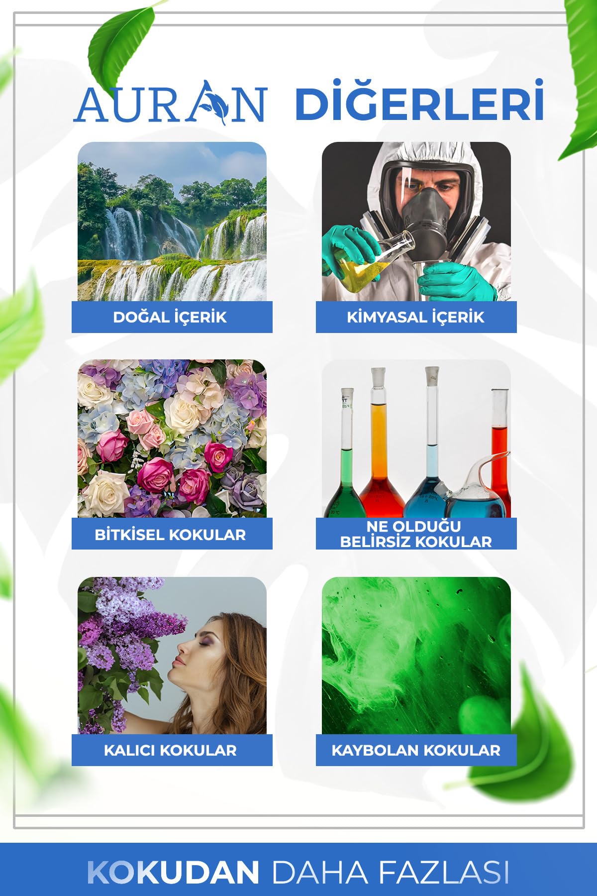 AURAN Okaliptus Esansiyel Uçucu Koku Yağı Difüzör Esansı Buhurdanlık Yağı Aromaterapi Yağı 10ml