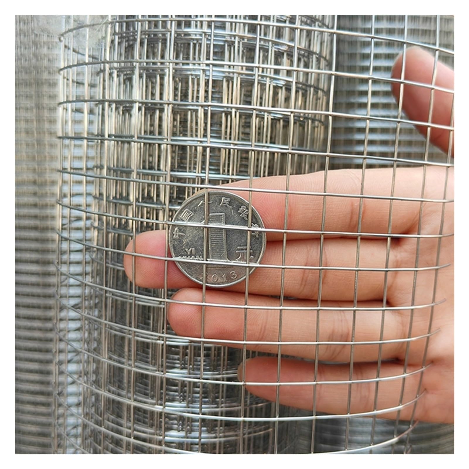 Grillage en acier inoxydable pour volaille clôture jardin durable rustique