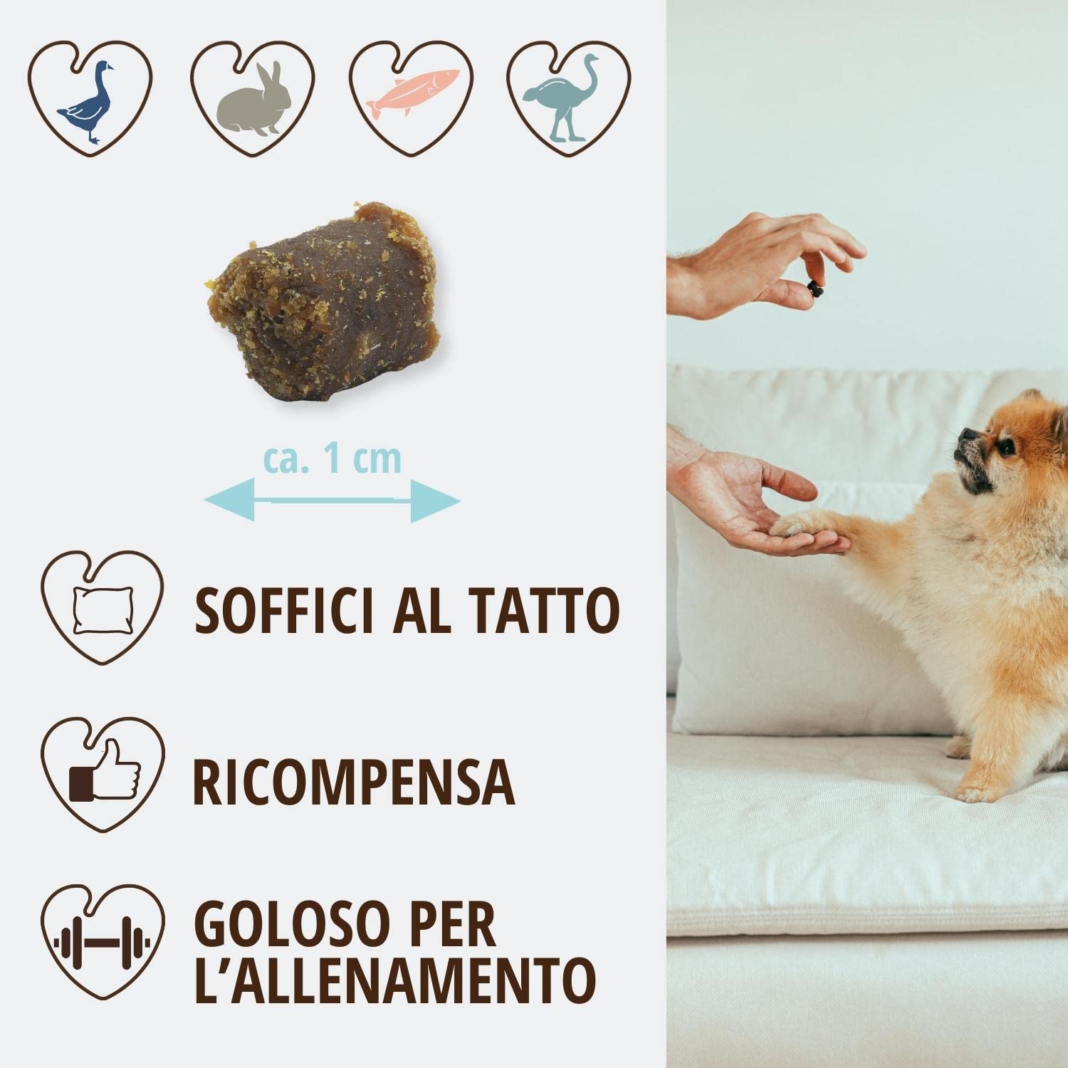 PetLove Croccantini di Carne Morbidi per Cani • Crocchette per Cani Senza Cereali • Contenuto di Carne 63% • Snack per Allenamento Cani • Mix Carni (Oca, Salmone, Coniglio, Struzzo) • 24 x 200 g