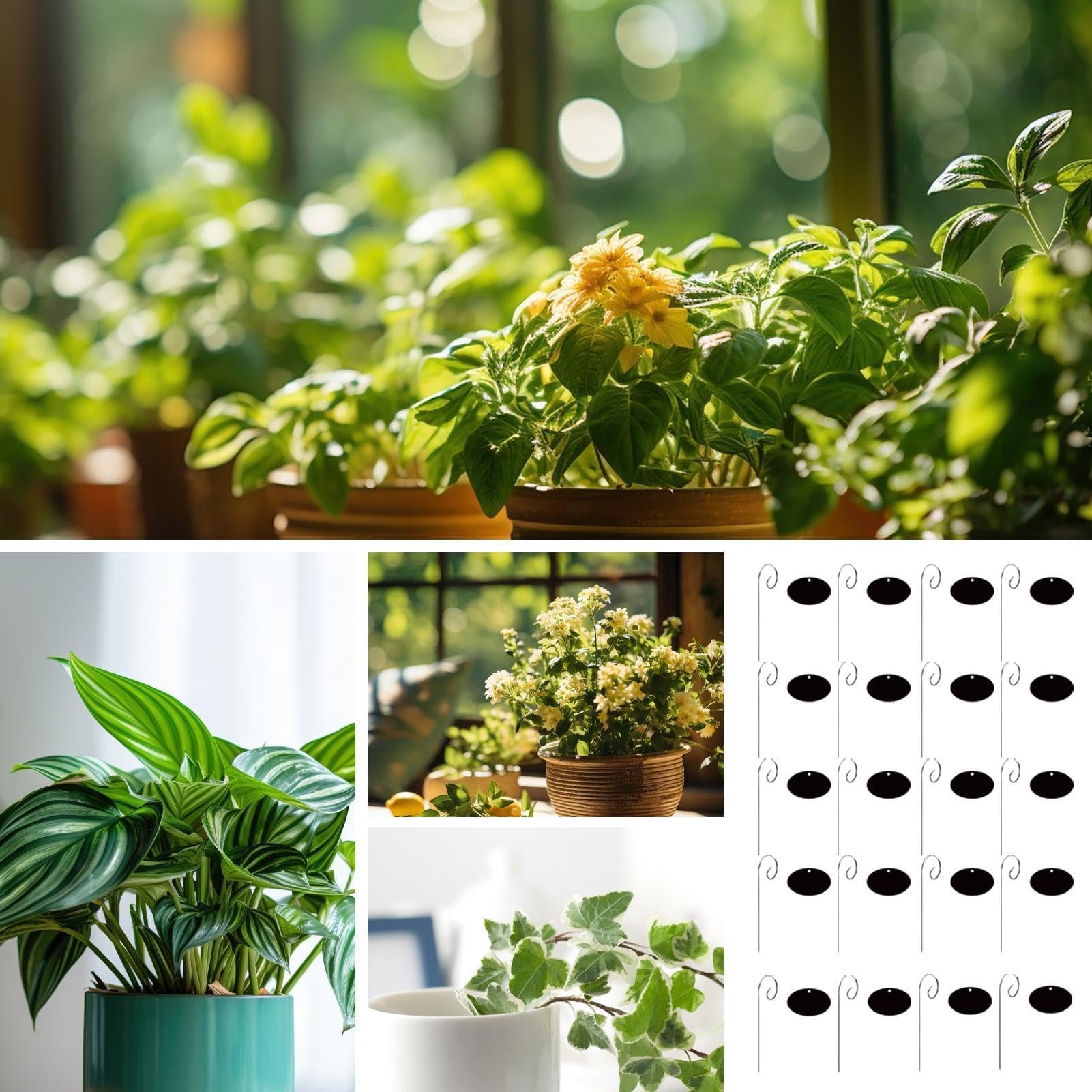 Lot de 20 marqueurs et piquets pour plantes – Étiquettes esthétiques pour jardinières de jardin, pots de fleurs, amateurs de jardin et agriculteurs