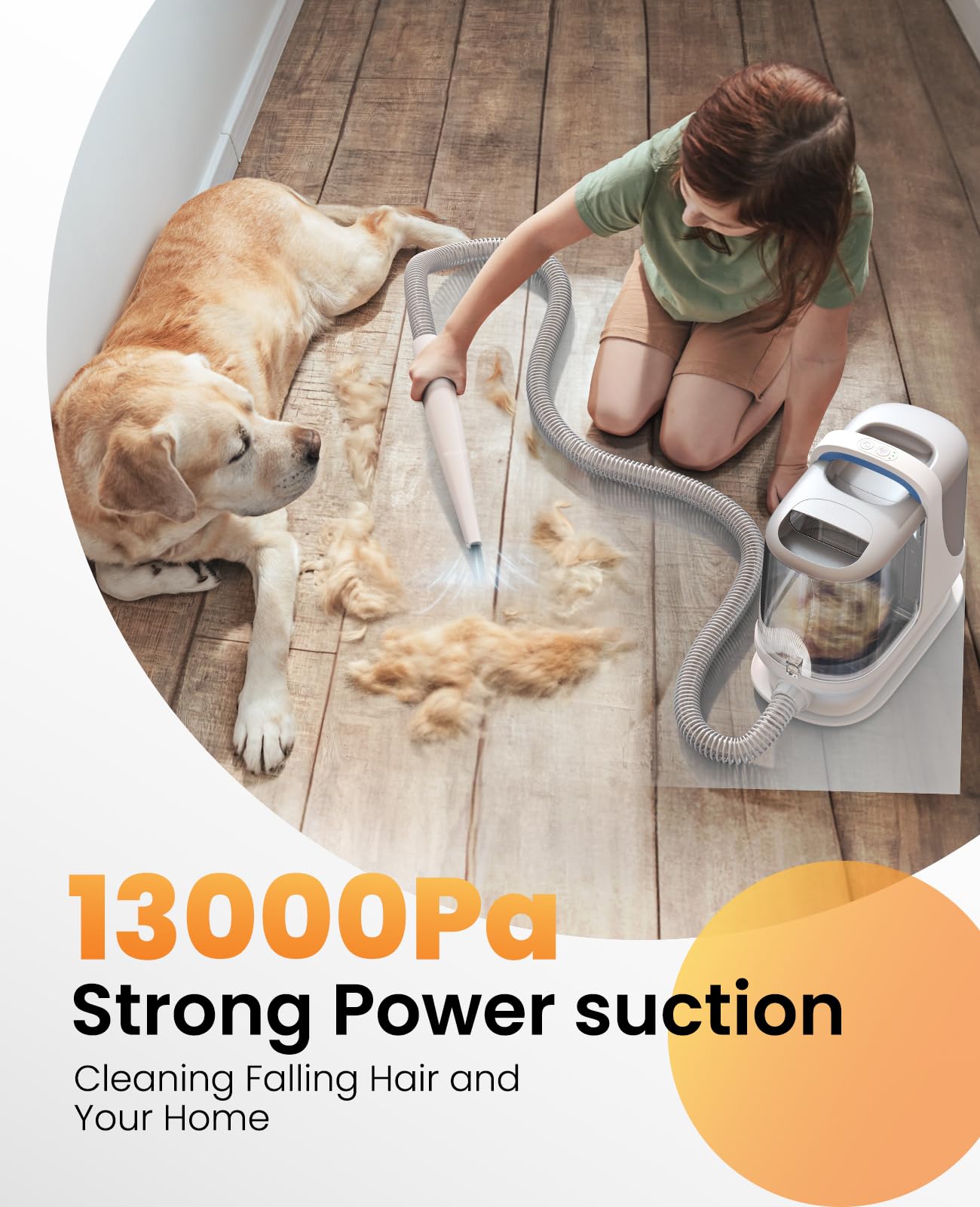 oneisall Dog Grooming Vacuum, 13000Pa Powerful 3L Dust Cup Pet Vacuum with Clipper Nail Grinder & Shedding Brush, 7 in 1 Dog Grooming Kits, Quiet, Large Capacity 3 Suction Levels, BM3 - image 5