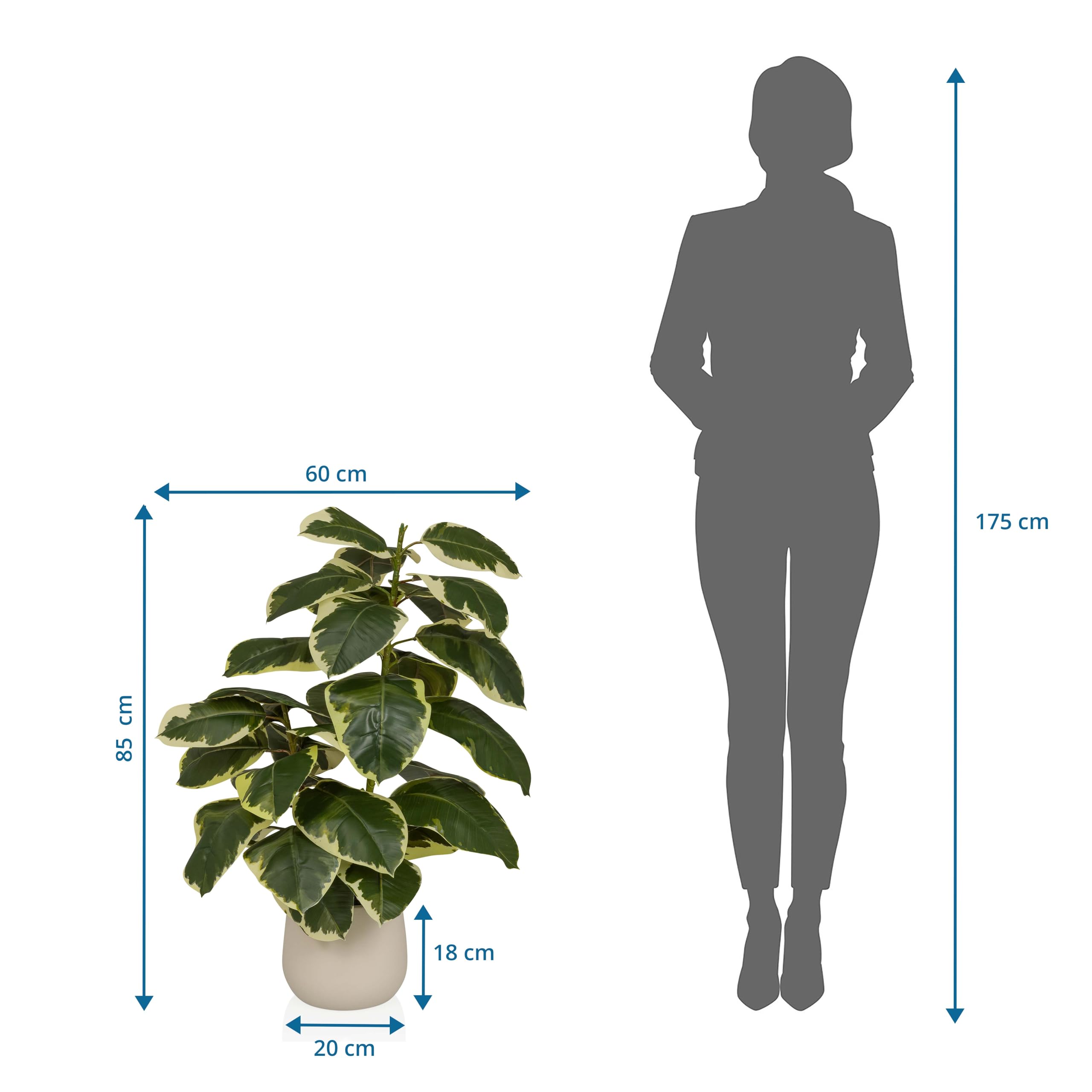 hjh OFFICE Plante artificielle Ficus 3 - Plante artificielle à feuilles persistantes d'environ 85 cm - Mélange de plastique de qualité supérieure - Facile d'entretien et sans odeur