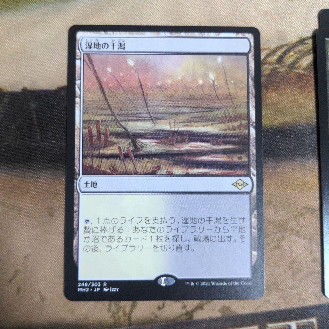 湿地の干潟 日本語版 4枚セット 湿地の干潟 英語 拡張 4枚