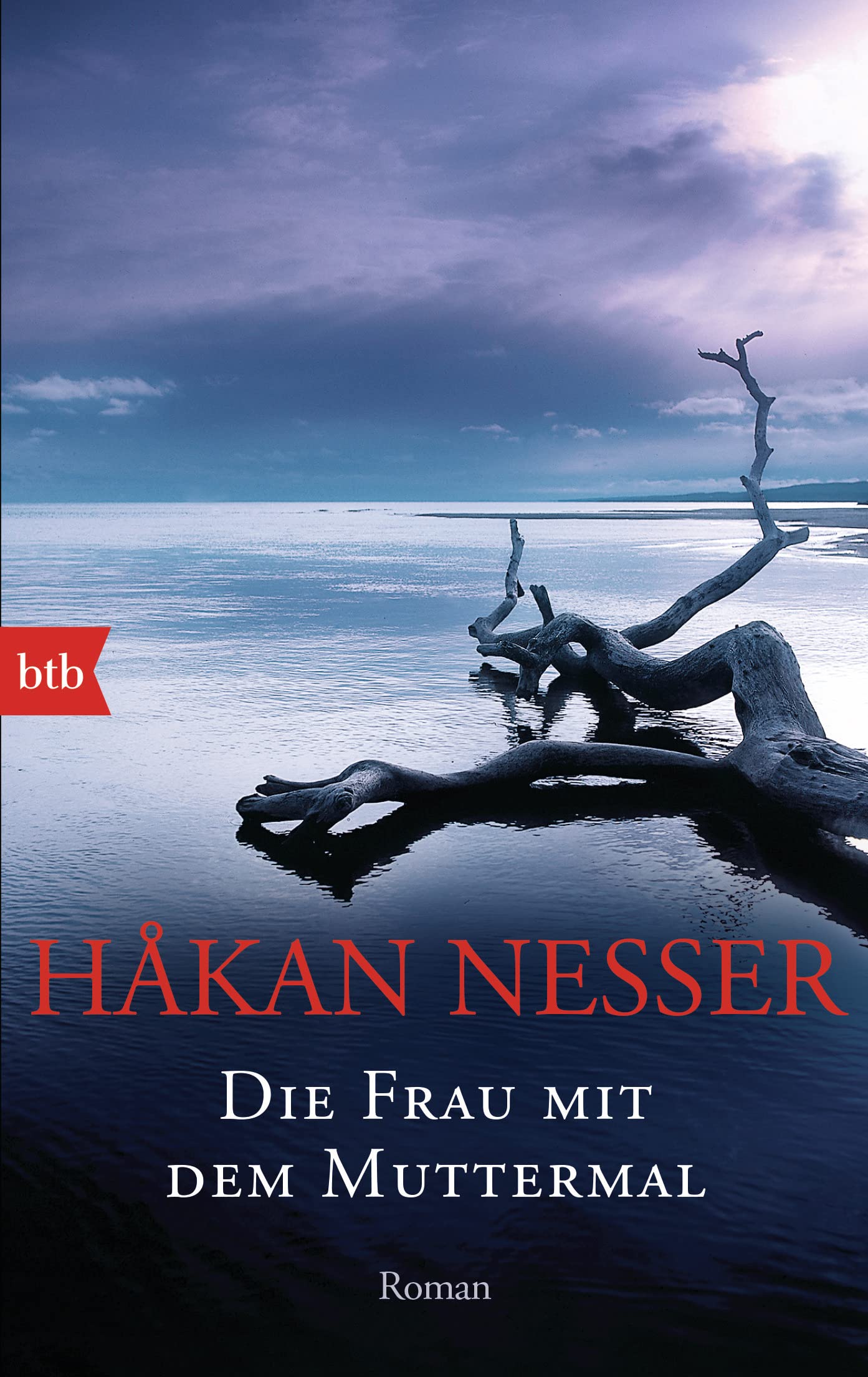Die Frau MIT Dem Muttermal: Roman