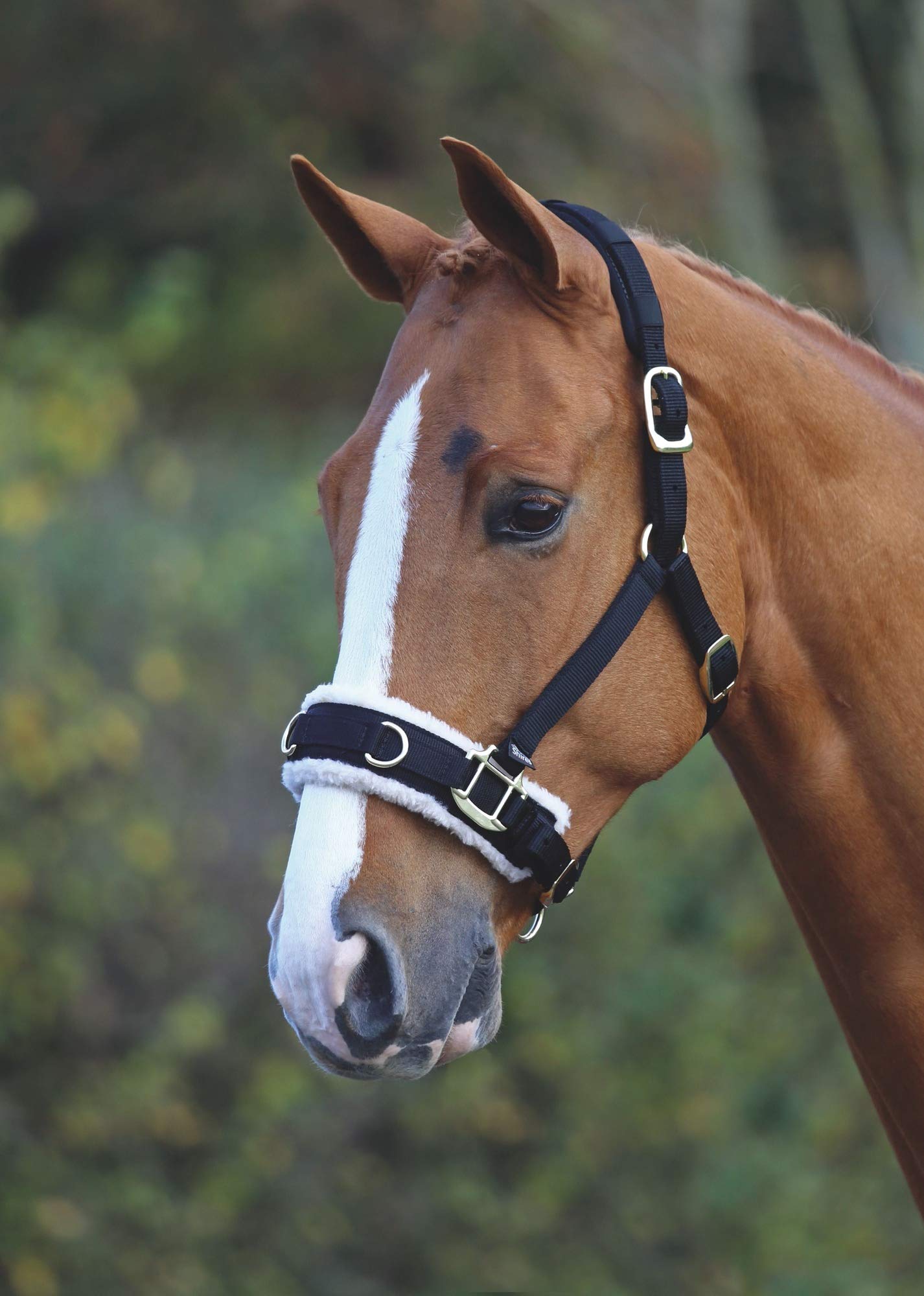 Shires - Polar Fleece Head Collar – Black, Black