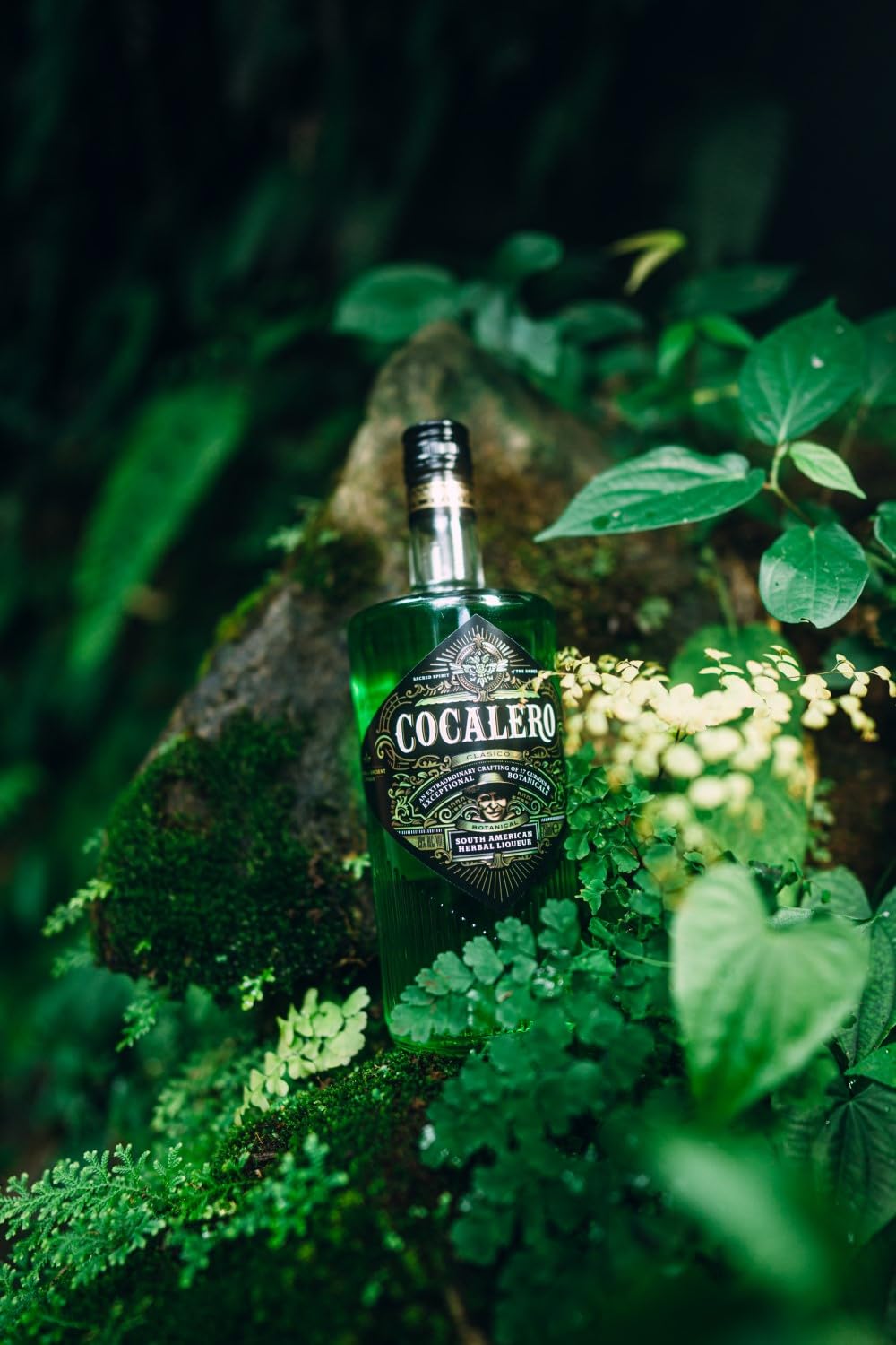 Cocalero 700ml 3本セット ボトルクーラー付き コカレロ3本セット