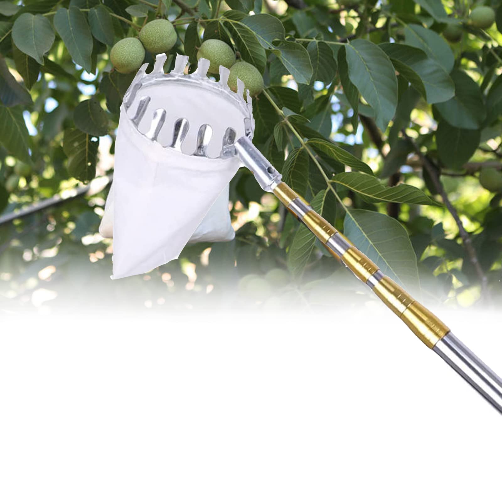23ft, Apfelpflücker Mit Teleskopstiel, Apfelpflücker, Obstpflückausrüstung Beerenpflücker Mit Obst Aufbewahrungstasche Für Apfel Orange Zitrone