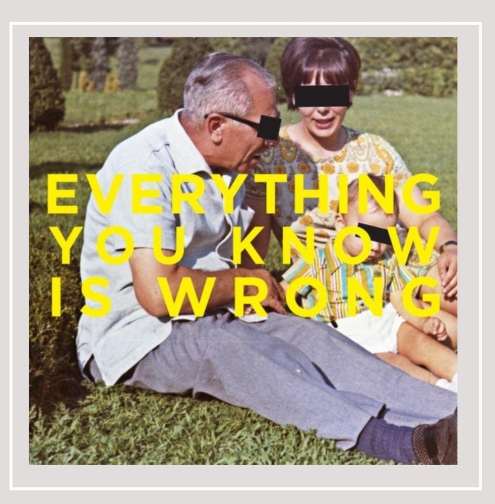 Buy Everything You Know Is Wrong Online at Low Prices in India Amazon