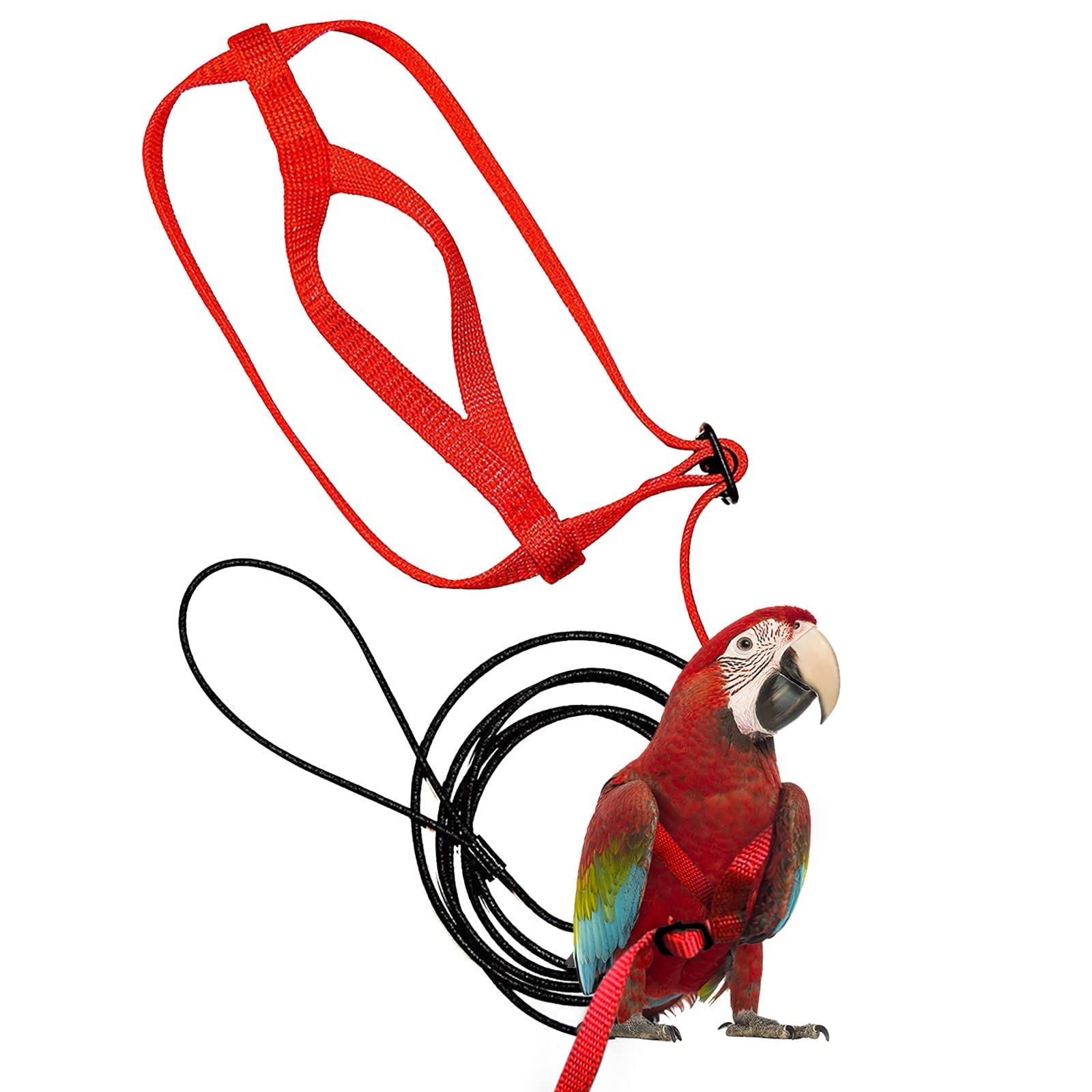 Sponsored Ad – SYOSI Pet Bird Leash Adjustable Flying Leash Used for Outdoor Walking to Carry Birds and Poultry for Parrots, Suitable for Parrots Alexandrine, Scarlet, Keck, Mini Macaw & Same Size Bird
