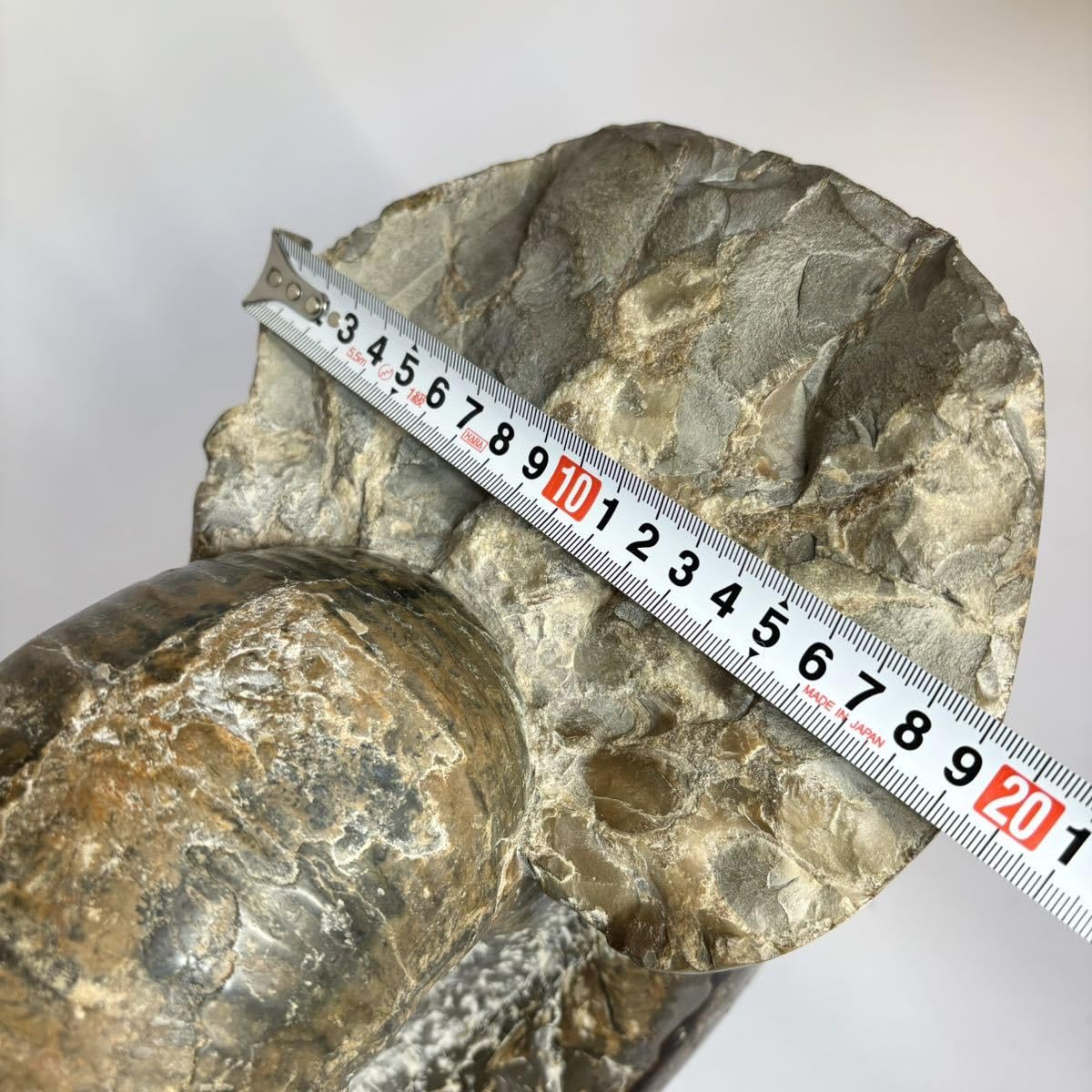 【大幅値下】アンモナイト化石 約15cm 約2.8kg アンモナイト 化石 大きい 特大 サイズ 13.7cm 約1.2kg - メルカリ