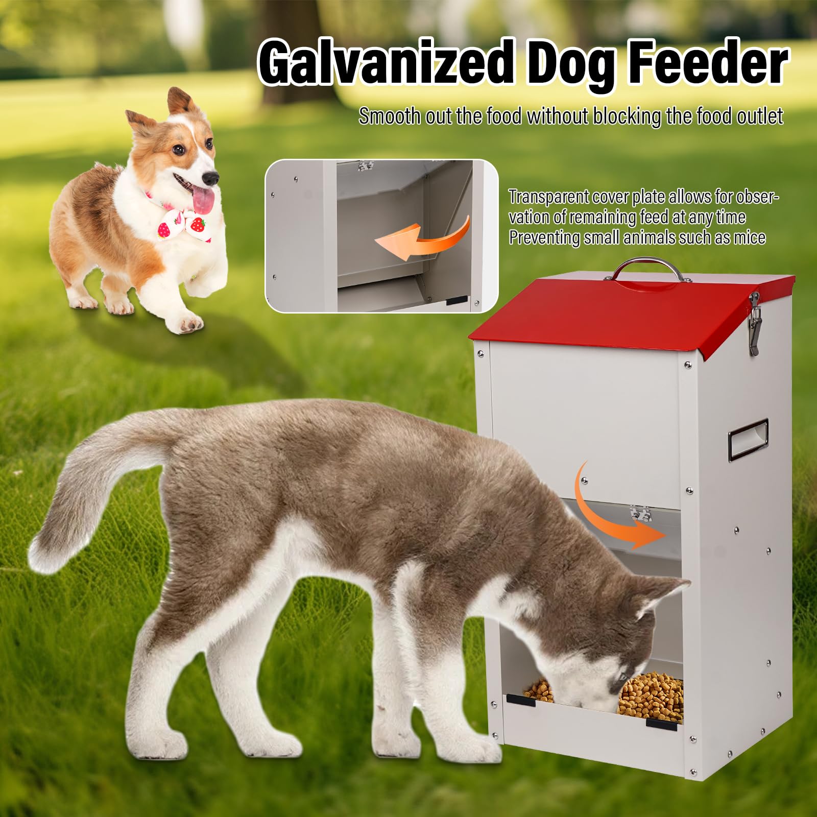 Mangiatoia Automatica Per Cani Di Grossa Taglia - Distributore A Gravità Da 11kg Per Esterno - Foto 9