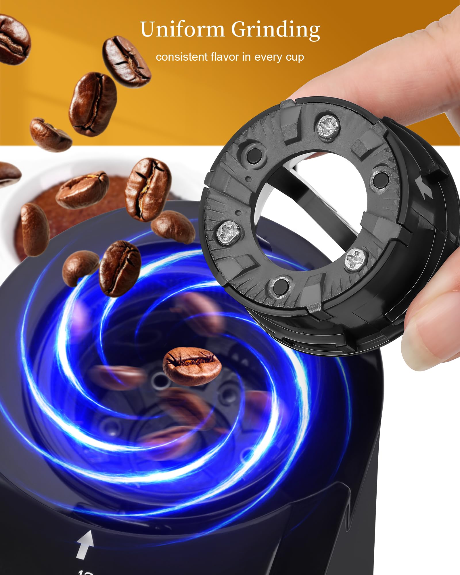 Moulin à Café à Meule Wancle 200W avec 28 Réglages de Mouture, Protection Contre la Surchauffe, Capacité de 2 à 12 Tasses, Design Compact pour un Rangement Facile, Acier Inoxydable, 220V