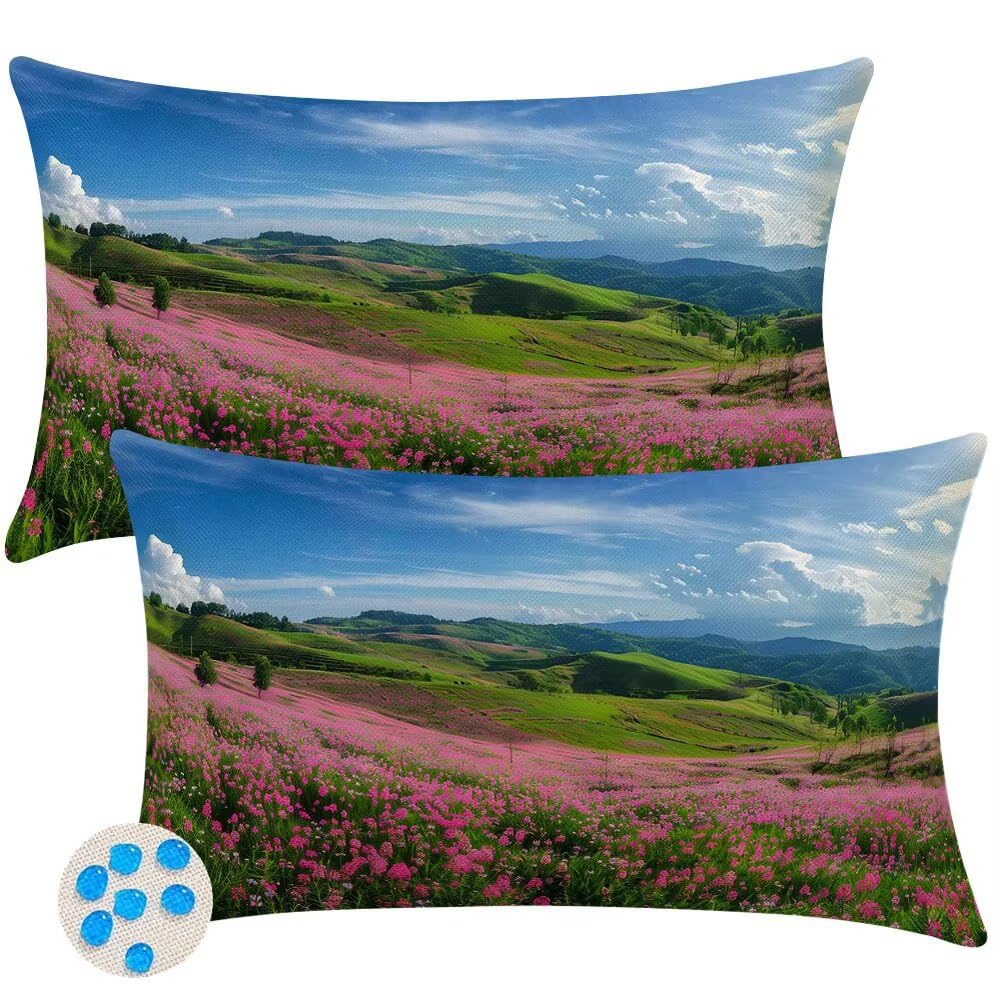 Outdoor Cushions Waterproof Cushion Covers 40cm x 50cm Pack of 2 Spring Garden Cushion Cover Wildflowers Throw Pillow Covers 16 x 20 Inch Outdoor Pillowcase for Garden Furniture Living Room -SC398