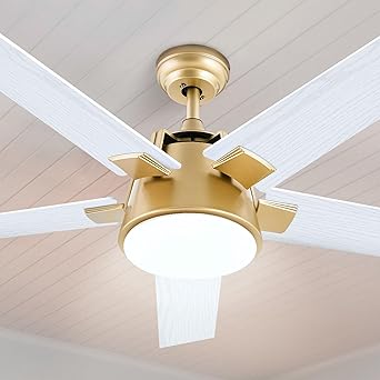 DWVO Ceiling Fan with Light and Wall Switch Remote, 52 Inch Modern Gold White Fan, Quiet Reversible Motor, Dimmable LED Color, Memory Function for Bedroom Living Room Patio Indoor Outdoor
