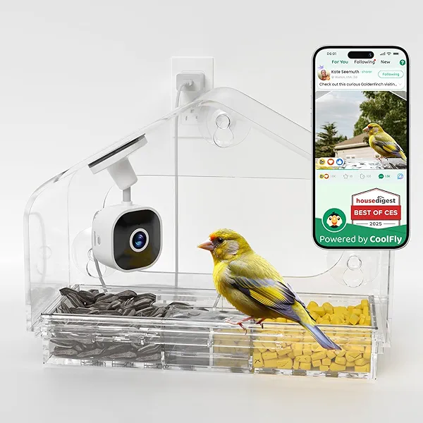 Richbird Smart Window Bird Feeder with Camera, 24/7 Powered for 2K HD Live View & AI Species ID, Wild Bird House with 3 Strong Suction Cups, Gift for Bird Watchers (Clear)