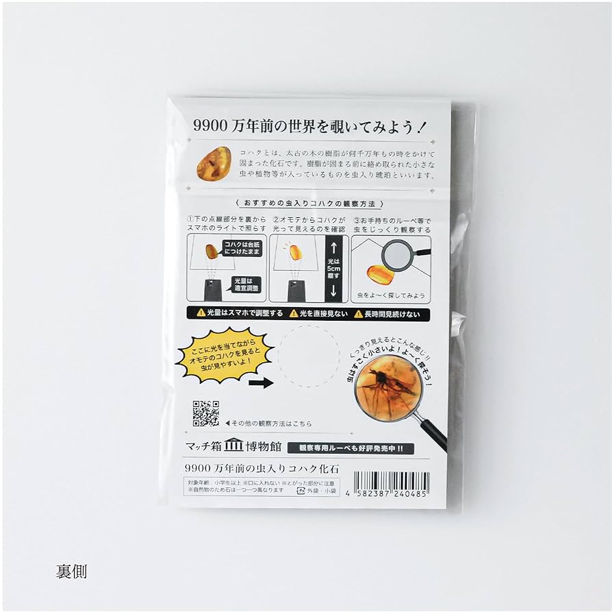 こはくページ こはくページ 琥珀💎 (@kohakuda589) / X